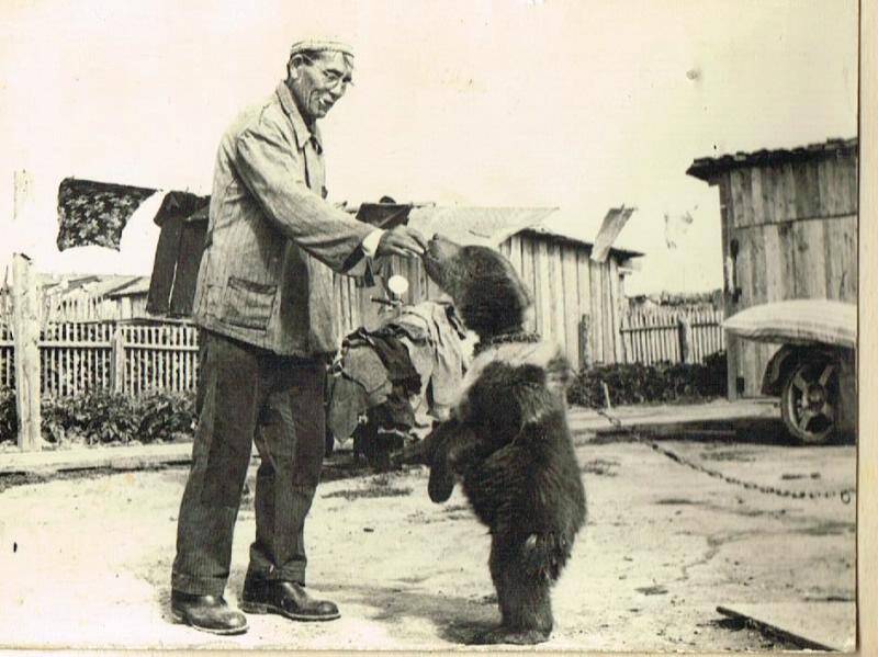 Фотоальбом. «Наш край» материалы о Тюменской области
