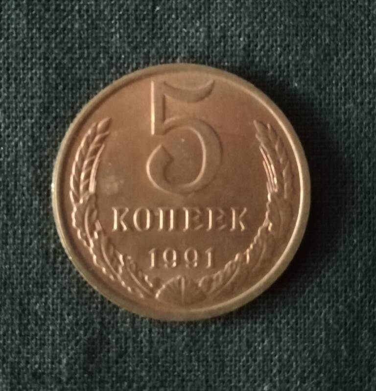 Монета 5 копеек 1991 г.