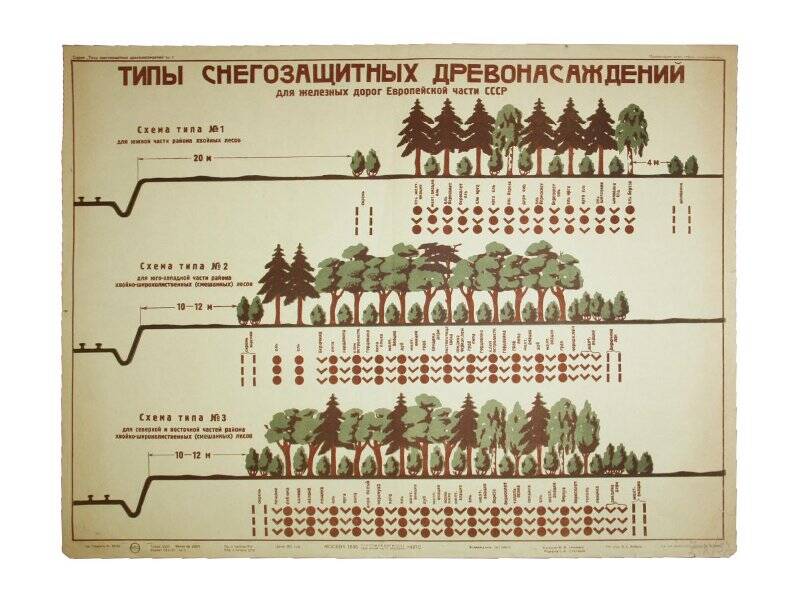 Плакат. Типы снегозащитных древонасаждений для железных дорог Европейской части СССР