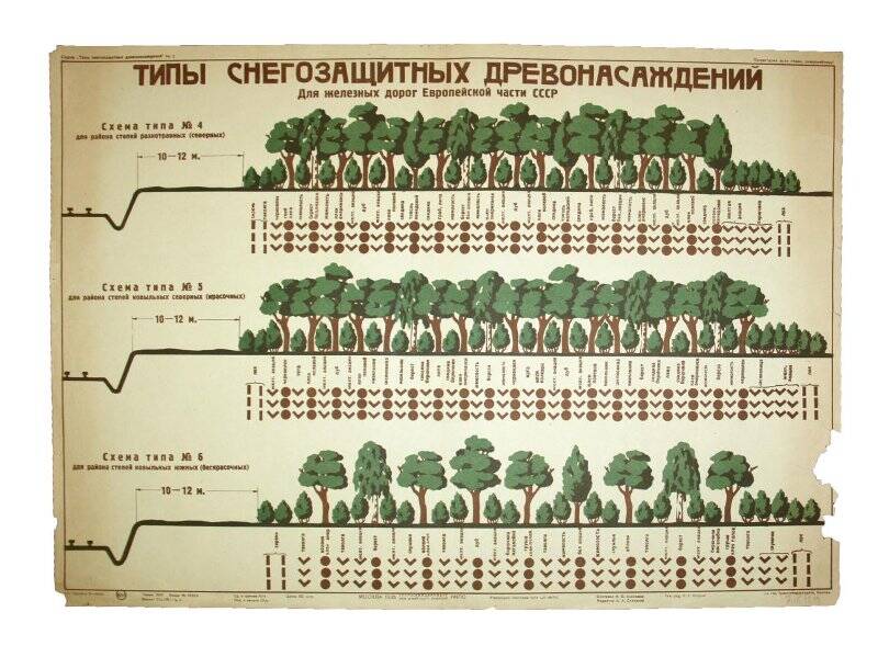 Плакат. Типы снегозащитных древонасаждений для железных дорог Европейской части СССР