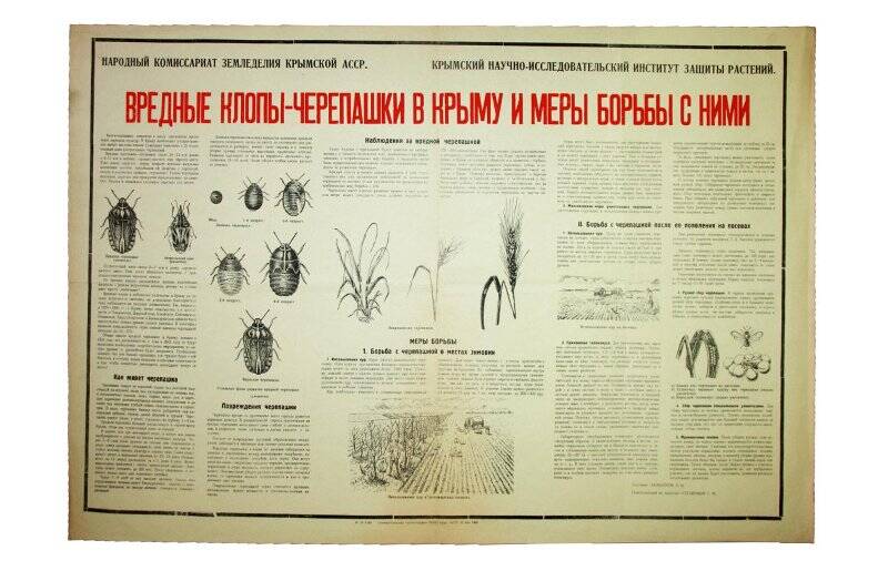Плакат. Вредные клопы-черепашки в Крыму и меры борьбы с ними