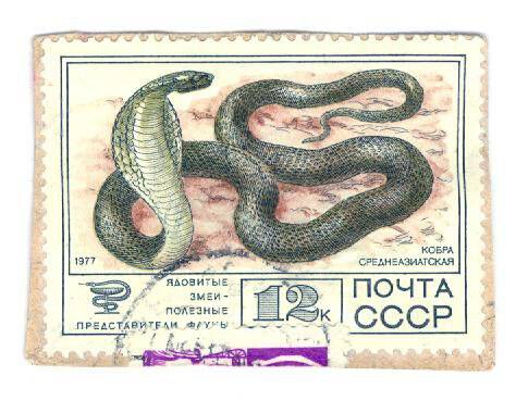 Почтовая марка номиналом 12 копеек с изображением кобры среднеазиатской.