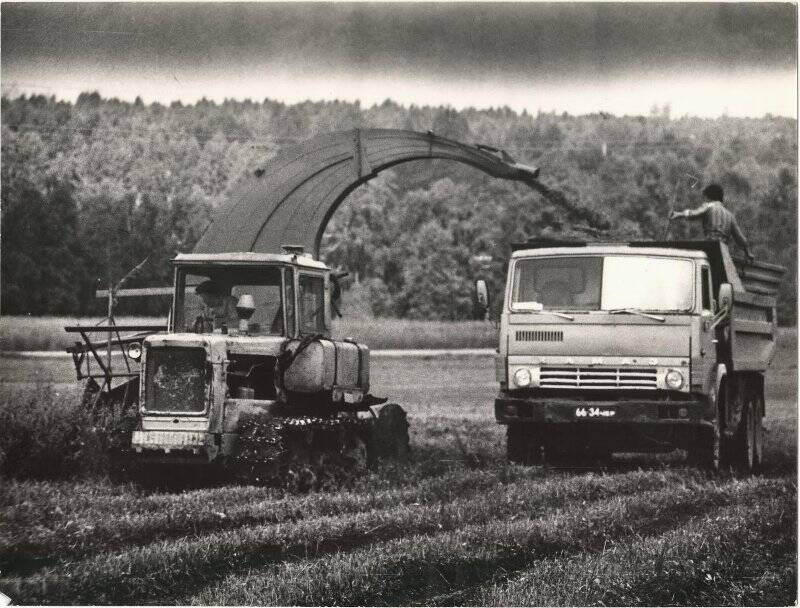 Фотография. Уборка травы на силос в Айлинском совхозе