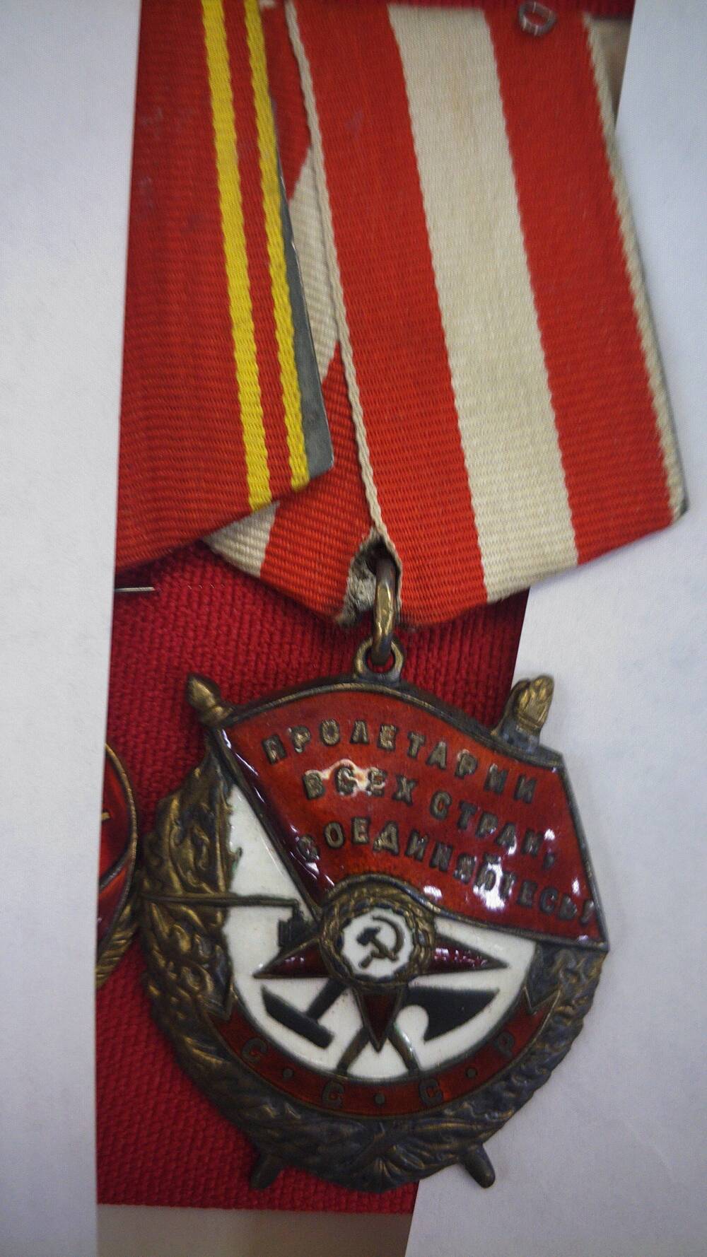 Орден Красного Знамени № 193319 Панина М.В.