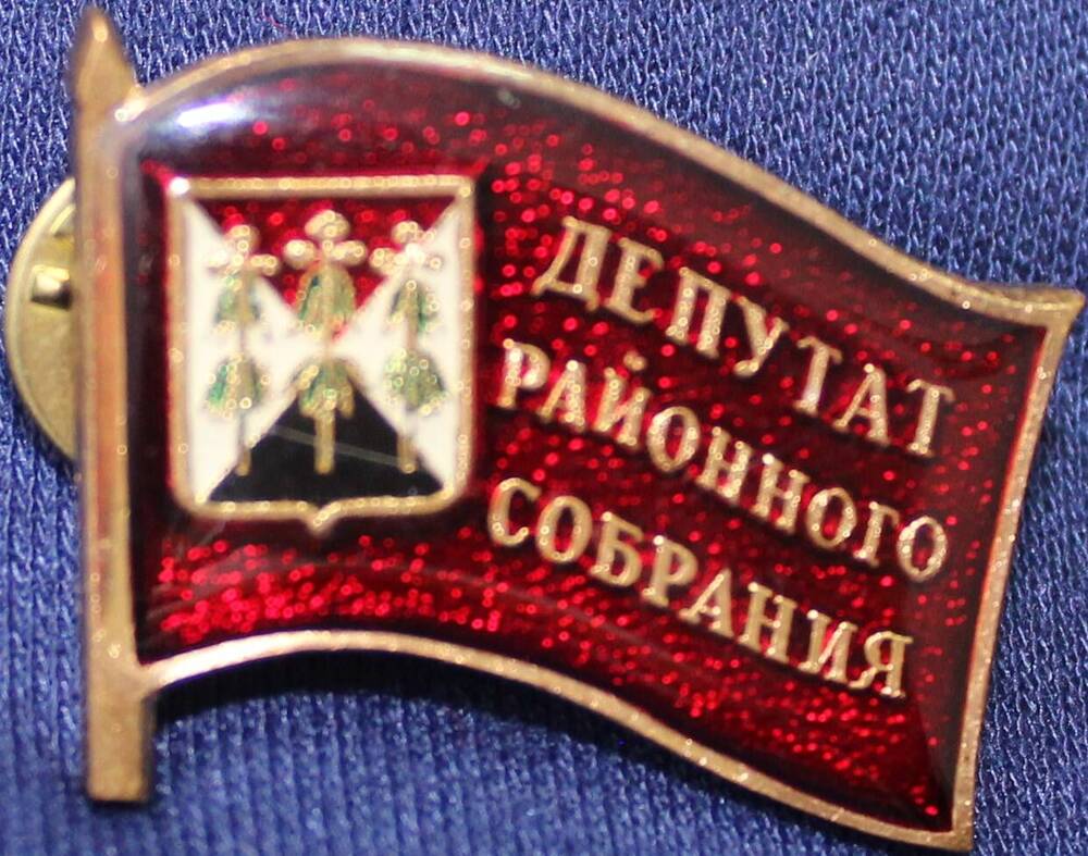 Знак «Депутат районного собрания».