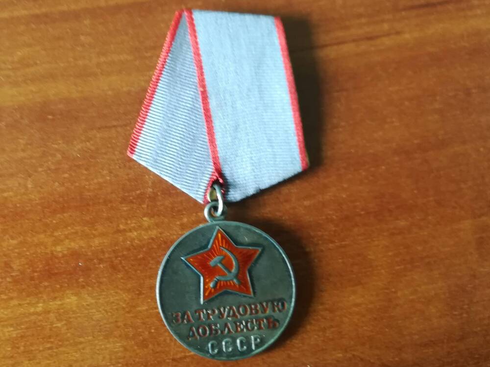 Медаль За трудовую доблесть доктора филологических наук Харитонова Луки Никифоровича