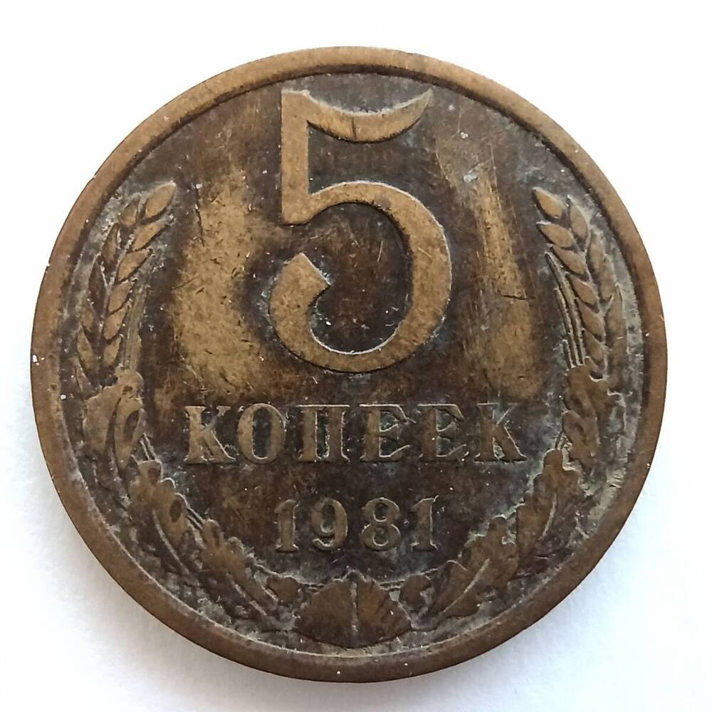 Монета номиналом 5 копеек 1981 года