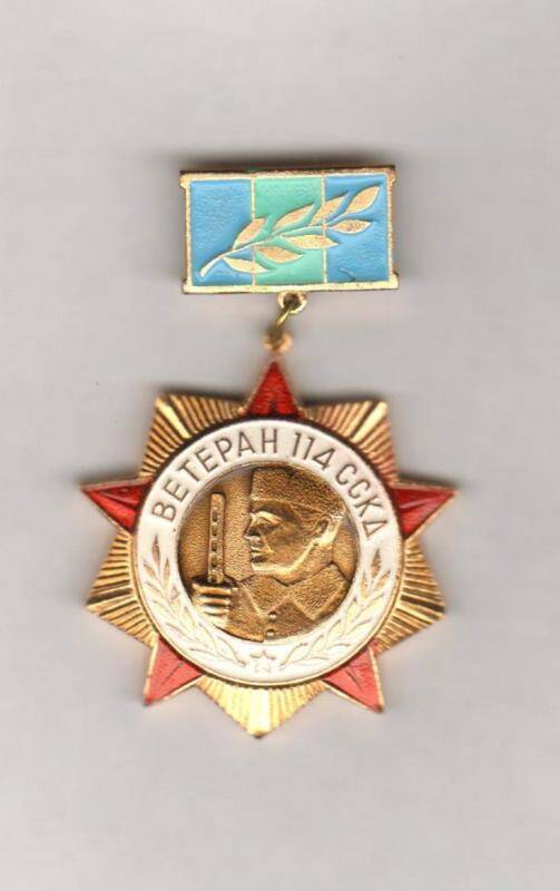 Знак нагрудный. Ветеран 114 ССКД. СССР