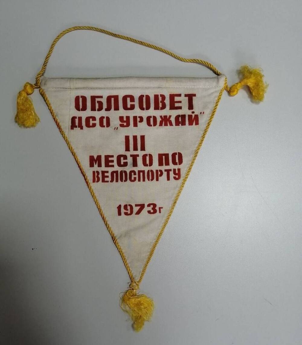 Вымпел Облсовет ДСО Урожай III место по велоспорту 1973 г.