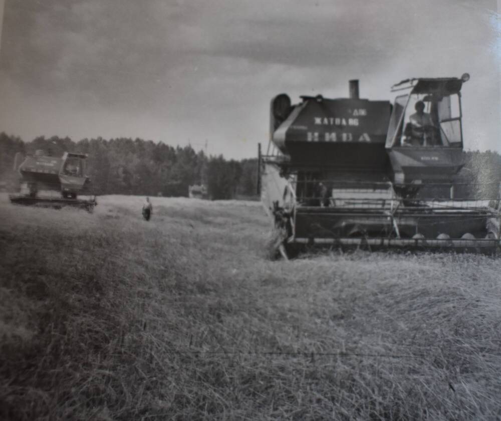 Фотография. Комбайн « Нива» на полях Жиздринского района