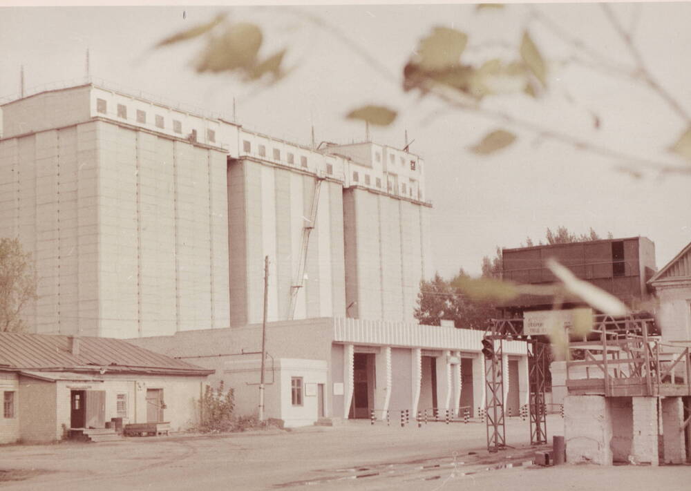 Фото. Михайловский элеватор, 1979г.