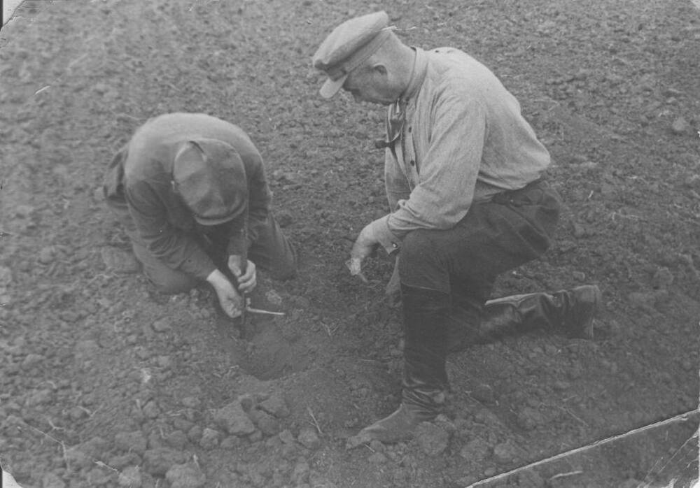 Фотография Механик Глушко и агроном свекольников проверяют глубину вспашки 1931г.