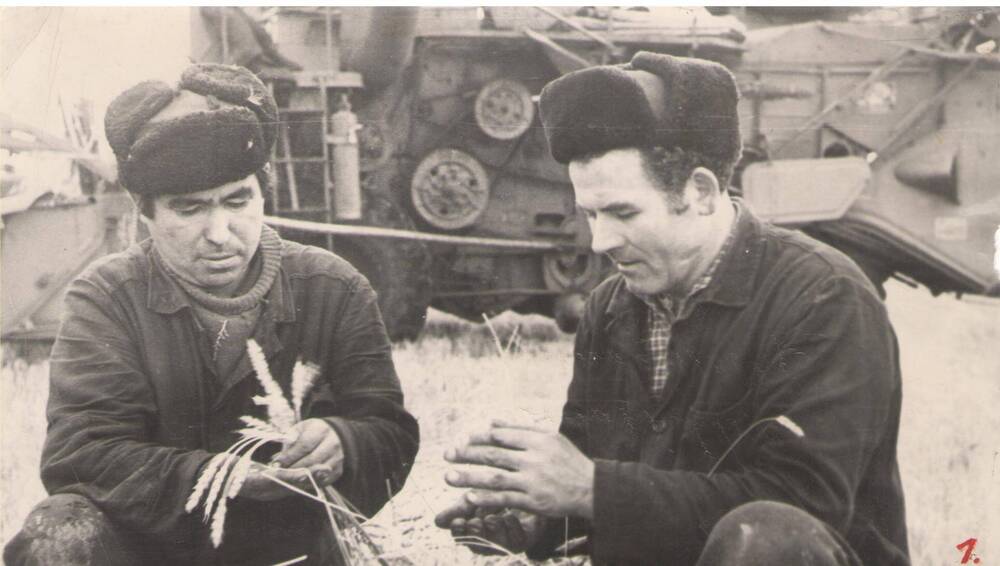 Фотография Наставник, Герой Социалистического Труда А.П. Холявко с комбайнером Г.Н. Гильметдиновым на хлебном поле.