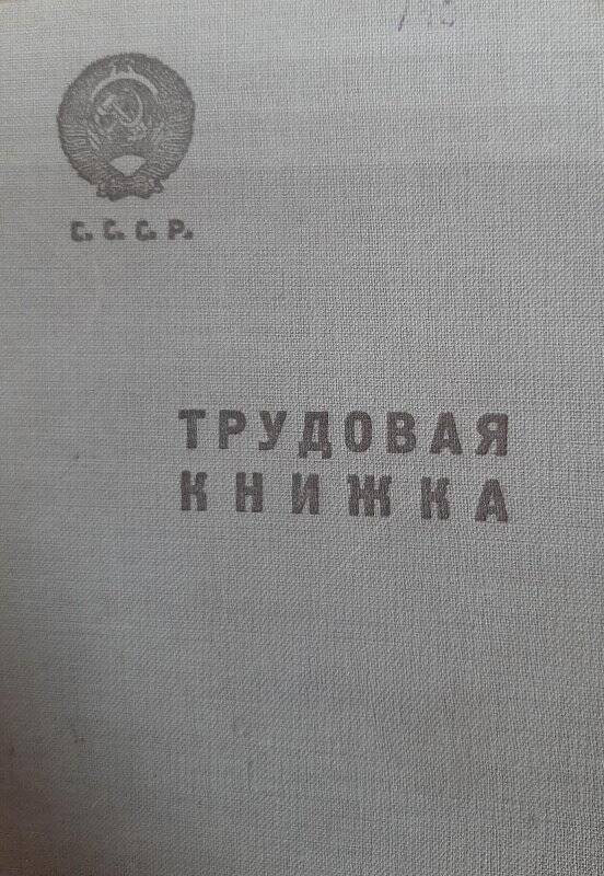 Трудовая книжка Луневой Надежды Семеновны, 1919 г.р.