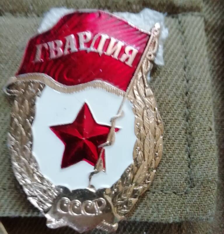 Знак Гвардия Ефимова Александра