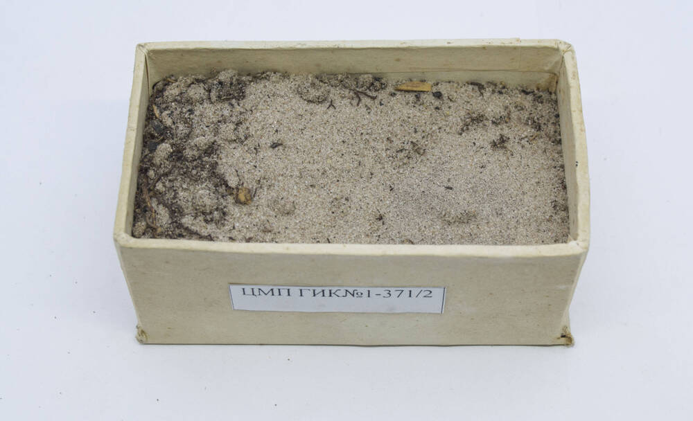 Почва. Образец. Песчаный подзол иллювиально-гумусово-железистый на озерно-ледниковом песке. Р. 2Ж .Горизонт АтА2