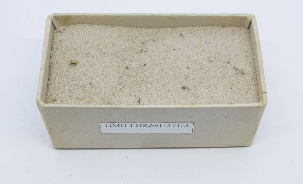 Почва. Образец. Песчаный подзол иллювиально-гумусово-железистый на озерно-ледниковом песке. Р. 2Ж. Горизонт А2.