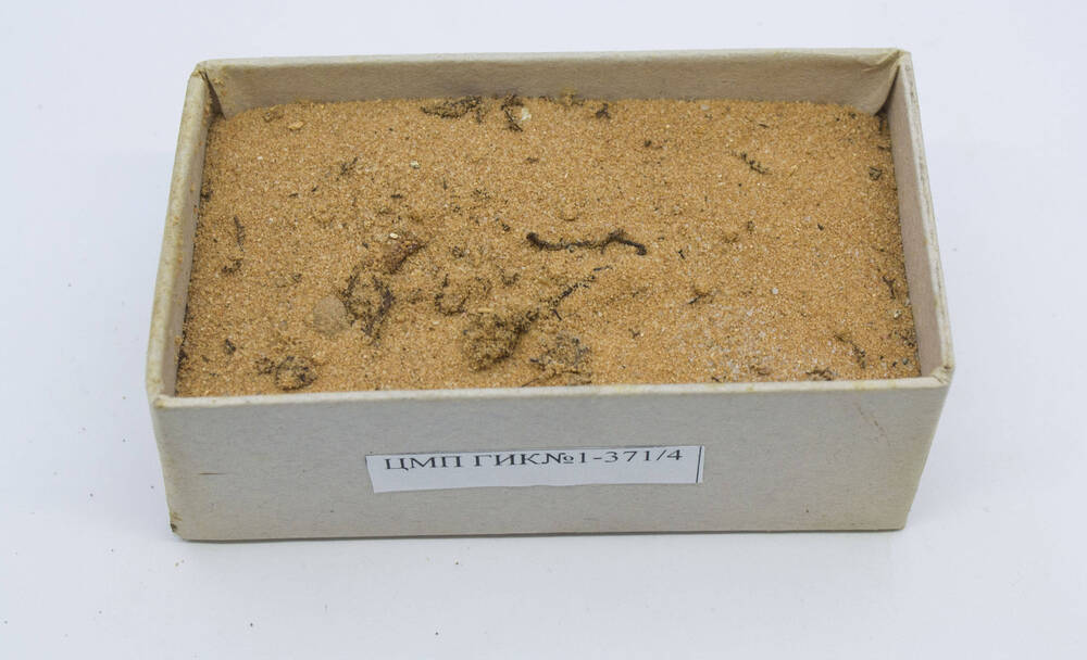 Почва. Образец. Песчаный подзол иллювиально-гумусово-железистый на озерно-ледниковом песке. Р. 2Ж . Горизонт В1Fе