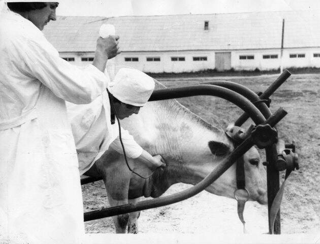 Фотография. Практическое занятие в Красногвардейском совхозе-техникуме.