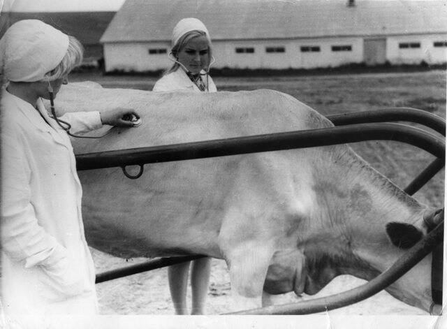 Фотография. Практическое занятие в Красногвардейском совхозе-техникуме.