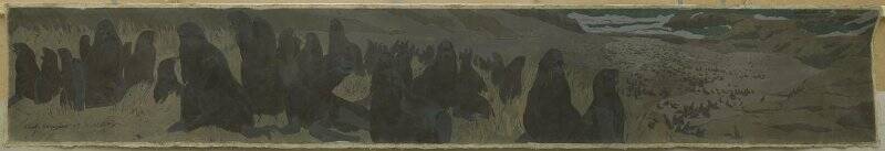Котики на Командорских островах. Панно для Всемирной выставки в Париже в 1900 г.