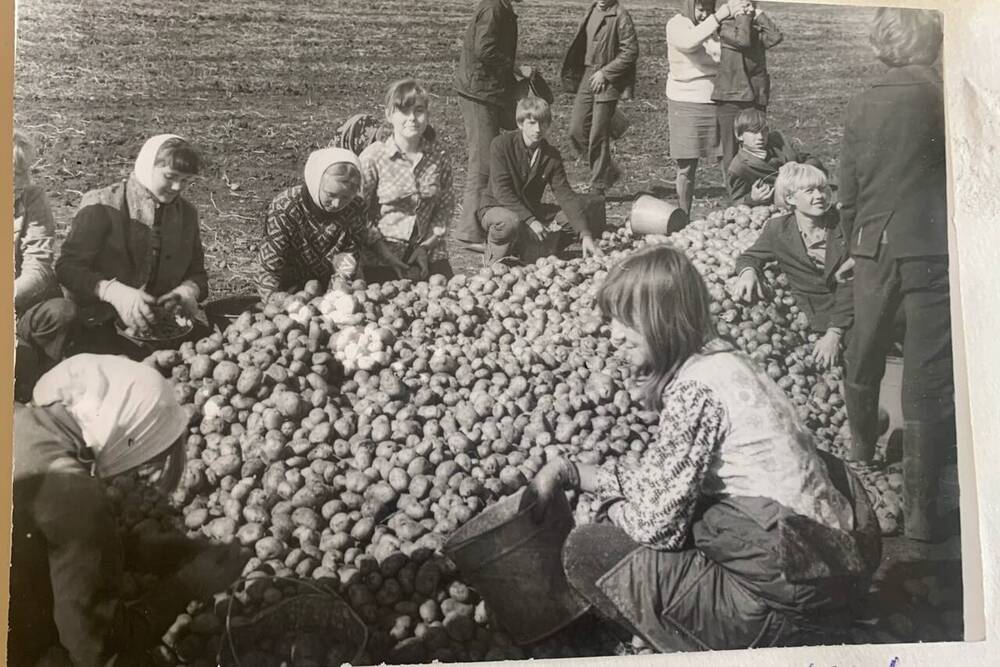 Фотография. Помощь колхозу Путь к коммунизму