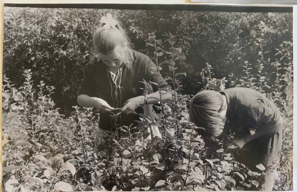 Фотография. Отработка в школьном саду. Село Гагино.