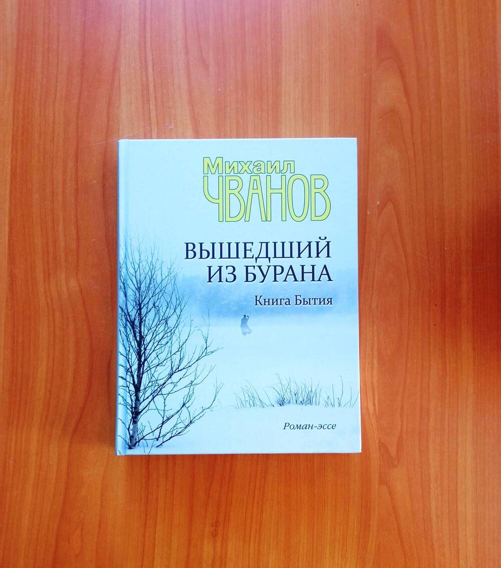 Книга «Вышедший из бурана. Книга бытия». Автор М. Чванов.