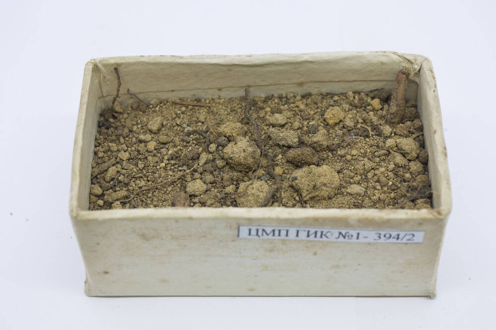 Почва. Образец.
Дерново-скрытоподзолистая иллювиально-гумусно-железистая песчаная. Р. 8ВС. Глубина 8-18 см.