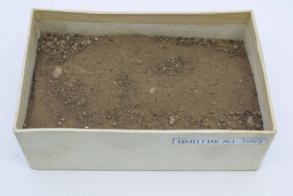 Почва. Образец. Подзол железисто-иллювиальный. Р.2. 
Глубина 9-19 см