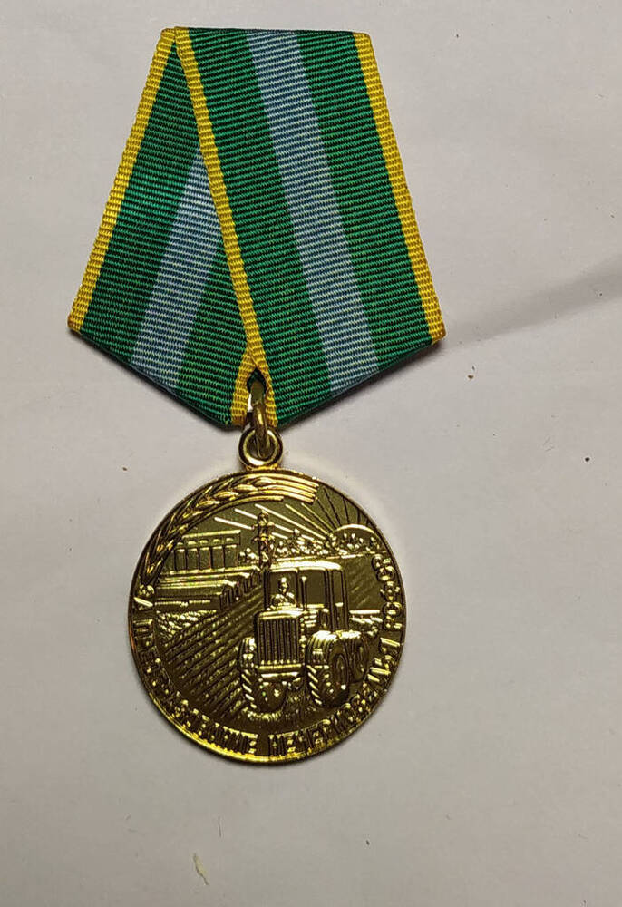 Медаль За преобразование нечерноземья РСФСР.