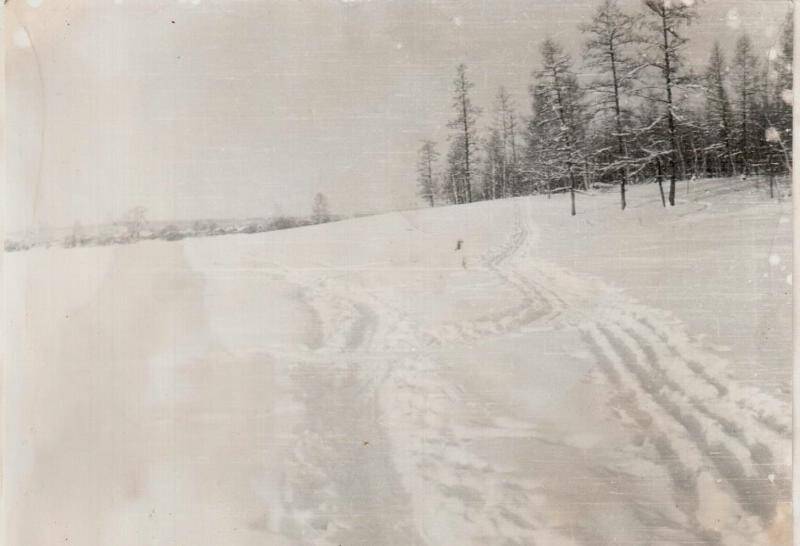 Фотография окрестностей с Ытык-Кюель. Фотография зимней дороги на окраине села.