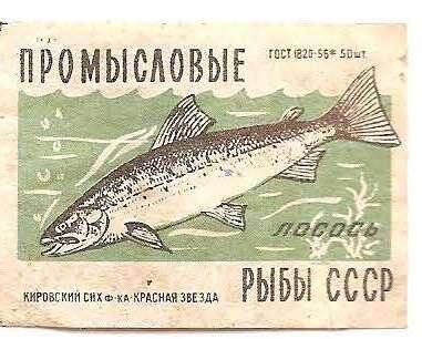 Спичечная этикетка из серии «Промысловые рыбы СССР». «Лосось».