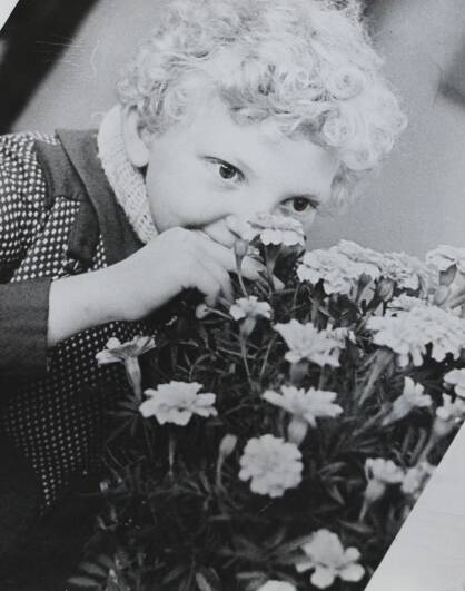 Фотография. Девочка и цветы. Из серии «На выставке цветов». 