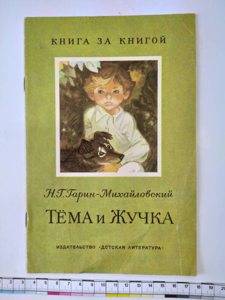 Гарин михайловский тема и жучка. Слушать книгу тема и жучка.