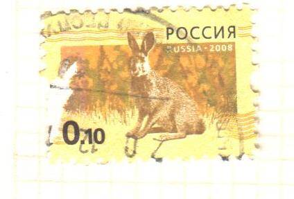 Почтовая марка России 10 копеек 2008 год. Стандартный выпуск. Заяц. 