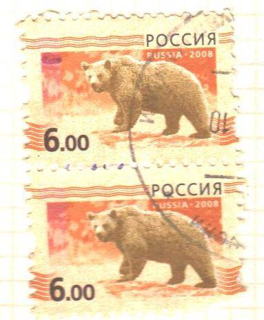 Почтовая марка России 6 рублей 2008 год. Стандартный выпуск. Медведь.