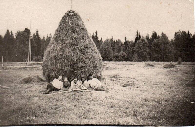  Фотография «На сенокосе»