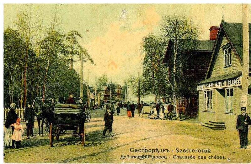 Фотооткрытка «Сестрорѣцкъ-Sestroretsk. Дубковское шоссе -Chaussee des chenes».