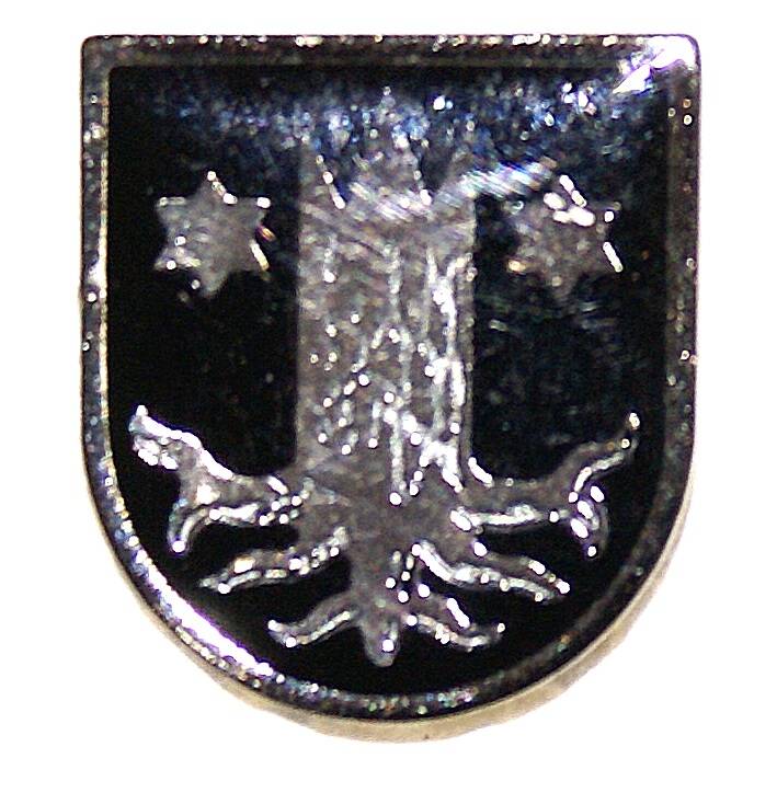 Значок сувенирный с изображением герба финского города Кемиярви