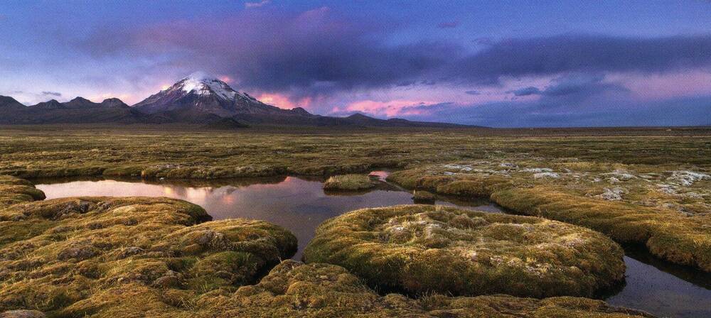 Фотооткрытка. Боливия, вулкан Сахама.