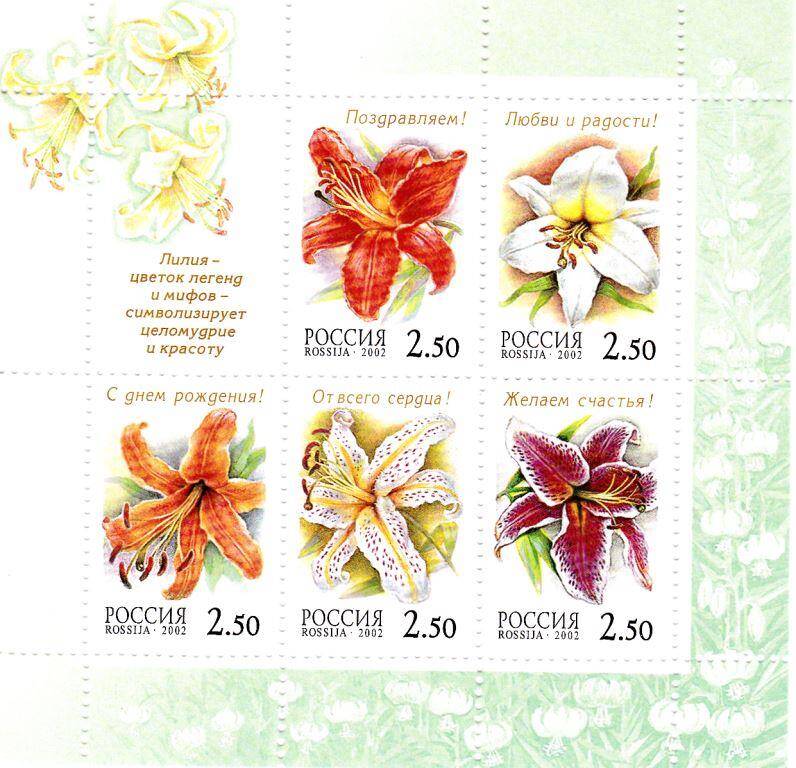 Знак почтовой оплаты РФ    Малый марочный лист с почтовыми марками серии «Флора. Лилии», 2002 г. 