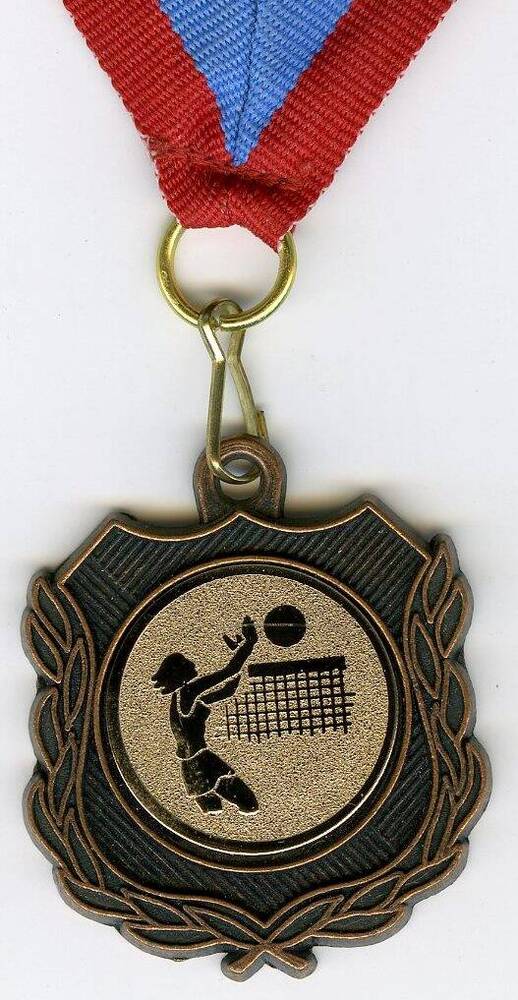 Медаль-заготовка для соревнования по волейболу