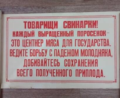 Плакат. Товарищи свинарки! Добивайтесь сохранения всего полученного приплода