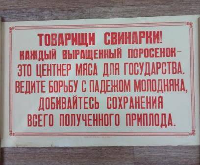 Плакат. Товарищи свинарки! Добивайтесь сохранения всего полученного приплода