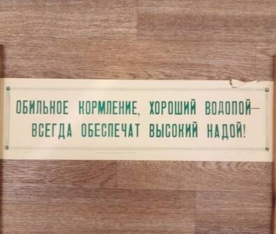 Плакат. Обильное кормление, хороший водопой – всегда обеспечат высокий удой