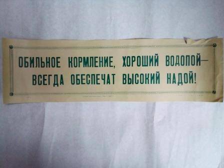 Плакат. Обильное кормление, хороший водопой – всегда обеспечат высокий удой