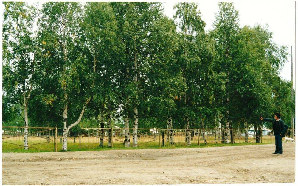 Фото цветное, видовое Парк в центре п. Кедровый Шор, Печорский район, 2000 г.