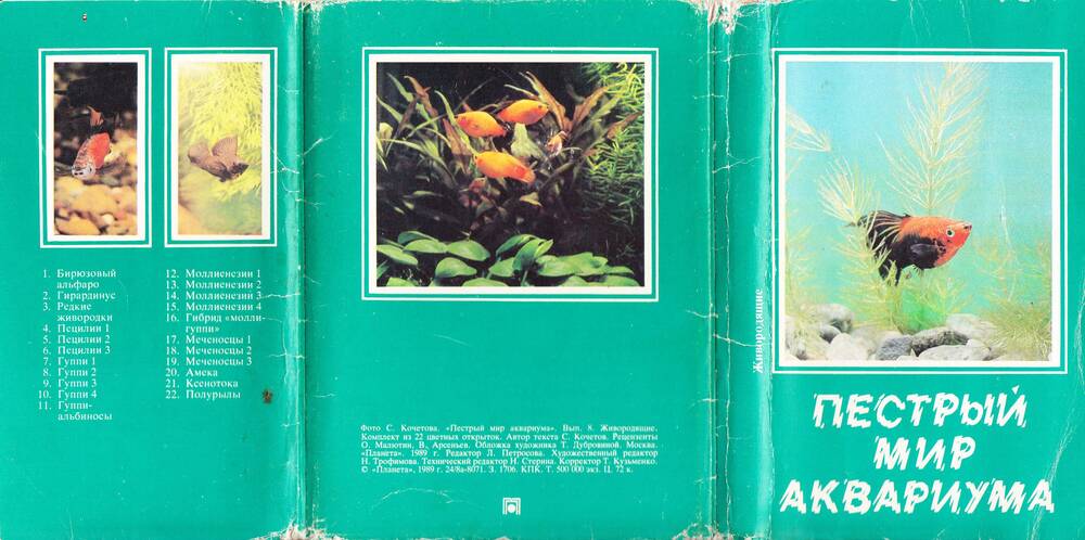Обложка от набора открыток «Пестрый мир аквариума».