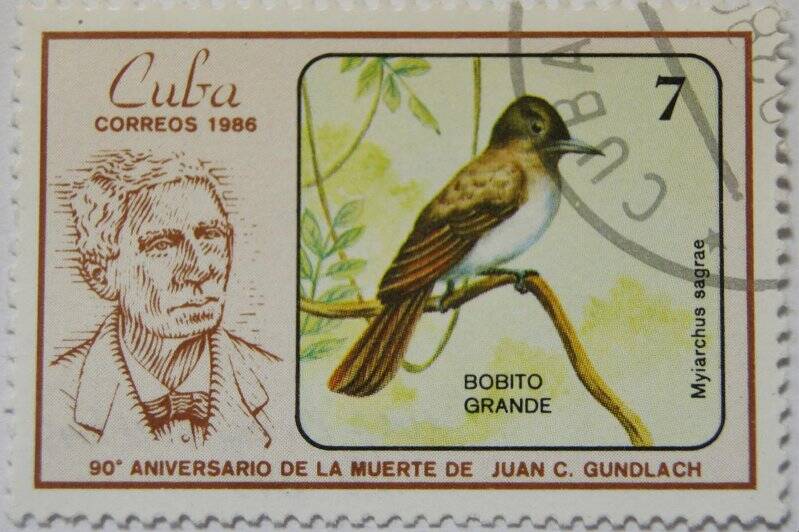 Почтовая марка Cuba correos Номинал 7.